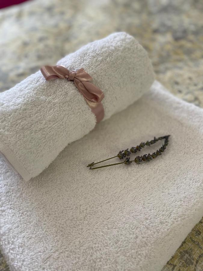 Apartman Teodora 苏博蒂察 外观 照片