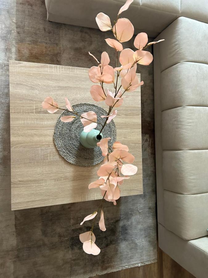 Apartman Teodora 苏博蒂察 外观 照片