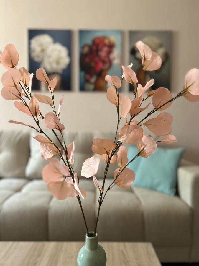 Apartman Teodora 苏博蒂察 外观 照片
