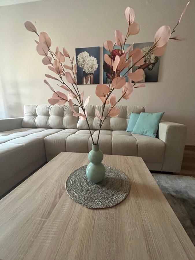 Apartman Teodora 苏博蒂察 外观 照片