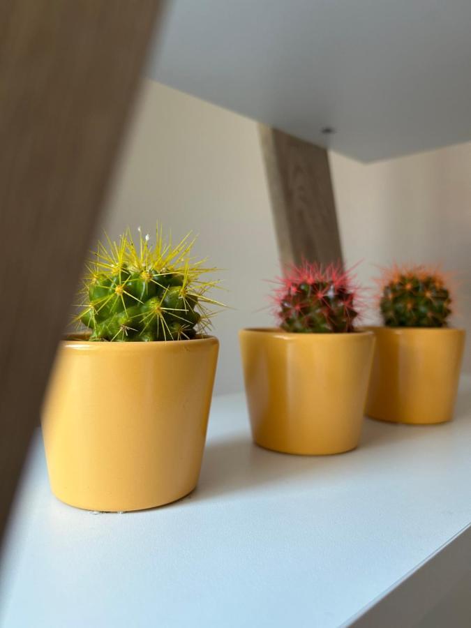 Apartman Teodora 苏博蒂察 外观 照片