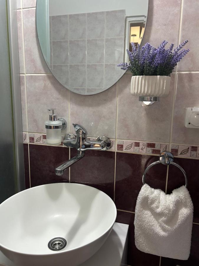Apartman Teodora 苏博蒂察 外观 照片