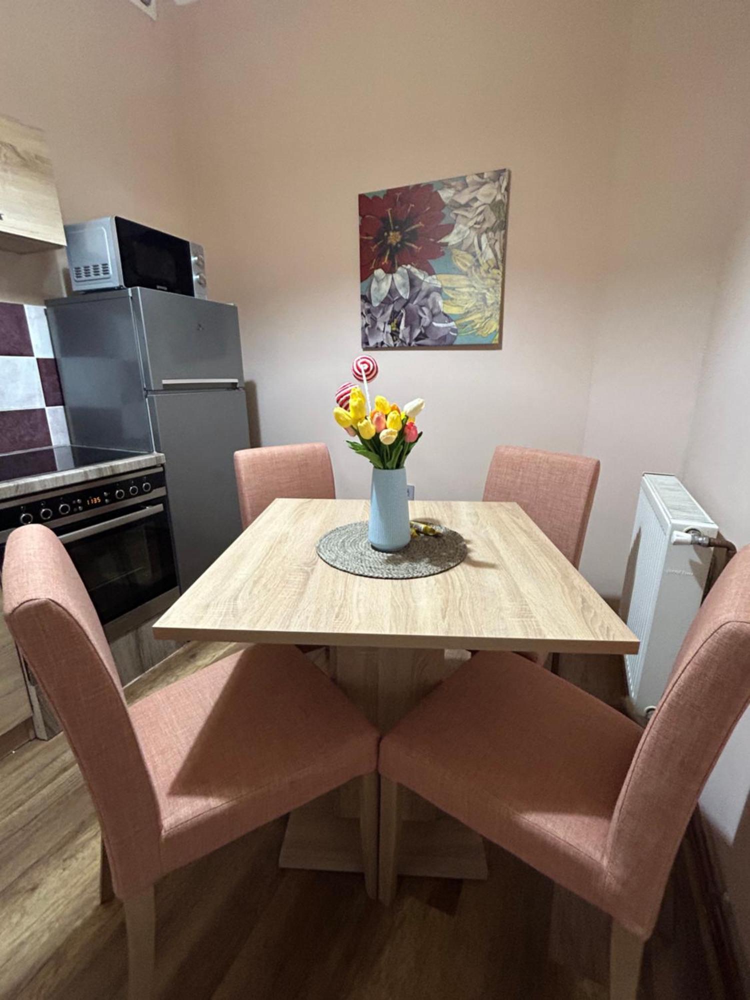 Apartman Teodora 苏博蒂察 外观 照片